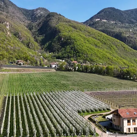 La Torre Del Maso Renner